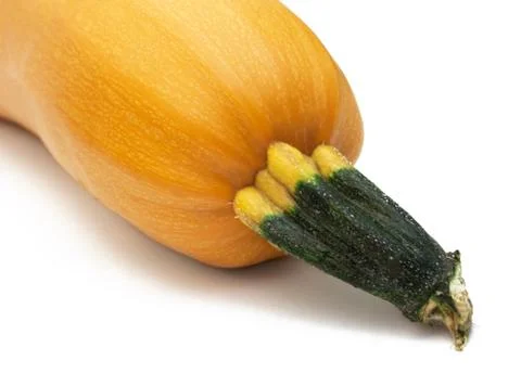 Pumpkin Stock Photos