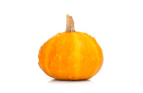 Pumpkin 库存照片