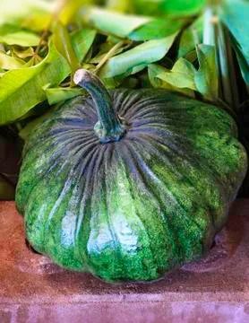 Pumpkin Stock Photos