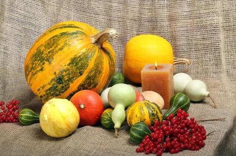 Pumpkin Stock Photos