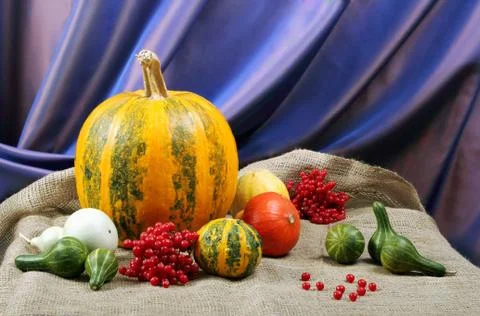 Pumpkin Stock Photos