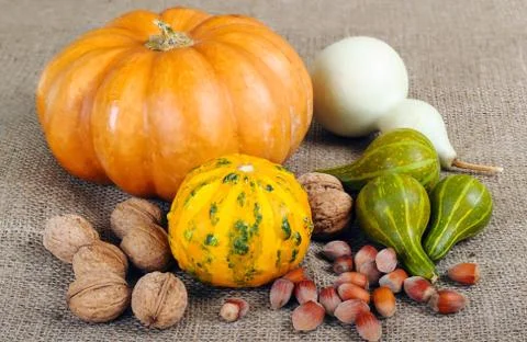 Pumpkin Stock Photos