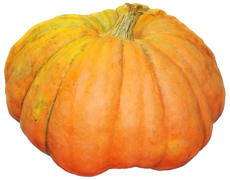Pumpkin Stock Photos