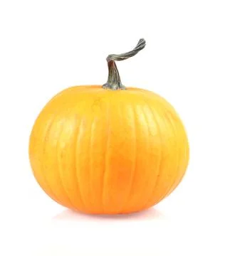 Pumpkin Stock Photos