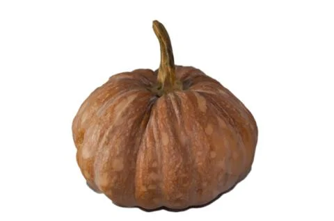 Pumpkin Stock Photos