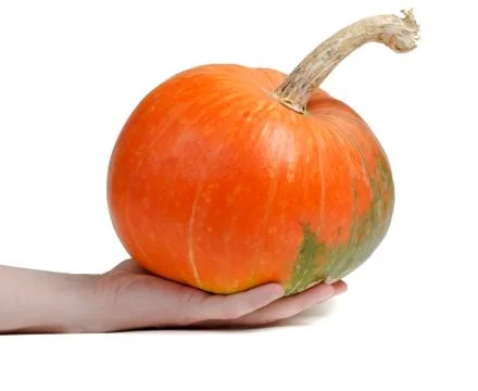 Pumpkin Foto stock
