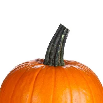 Pumpkin Stock Photos