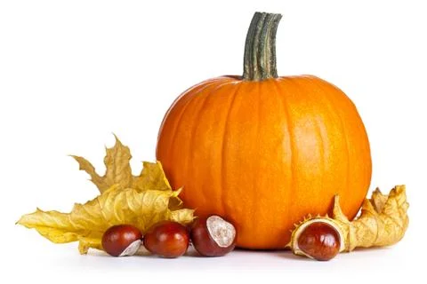 Pumpkin Stock Photos