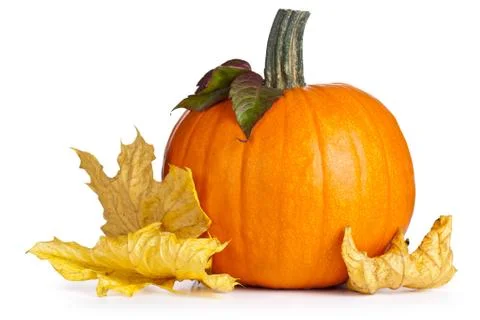 Pumpkin Stock Photos