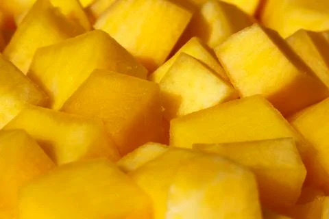 Pumpkin Stock Photos