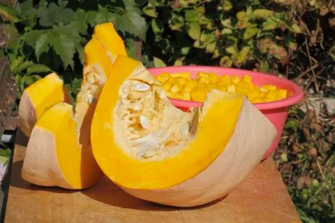 Pumpkin Stock Photos