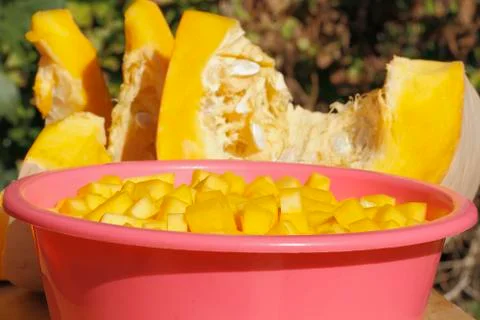 Pumpkin Stock Photos