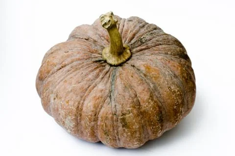 Pumpkin Stock Photos