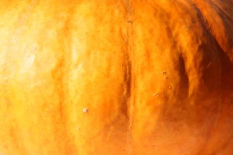 Pumpkin Stock Photos