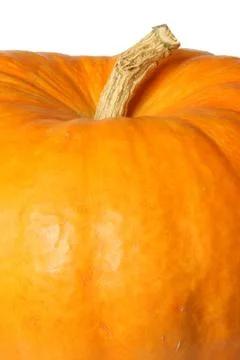 Pumpkin Stock Photos