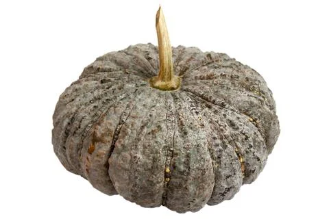 Pumpkin Stock Photos