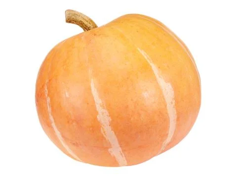 Pumpkin Stock Photos
