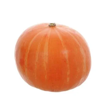 Pumpkin Stock Photos