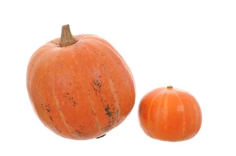 Pumpkin Stock Photos