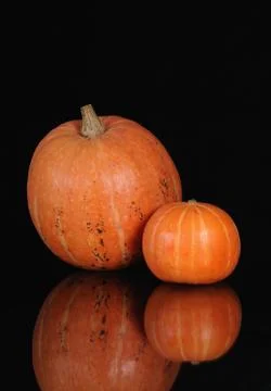 Pumpkin Stock Photos