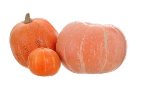 Pumpkin Stock Photos