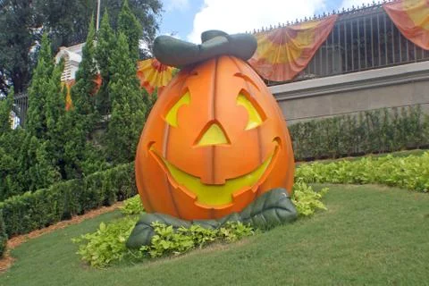 Pumpkin Stock Photos