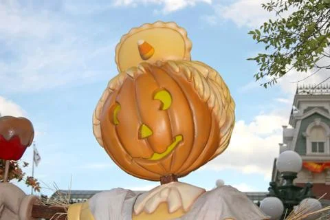 Pumpkin Stock Photos