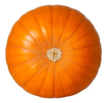 Pumpkin Stock Photos