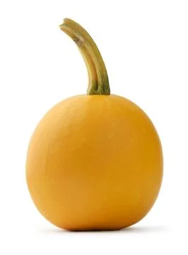 Pumpkin Stock Photos