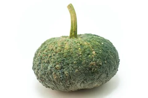 Pumpkin Stock Photos