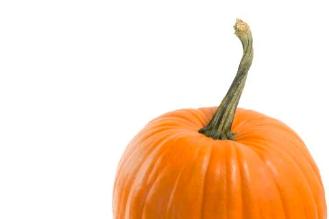 Pumpkin Stock Photos