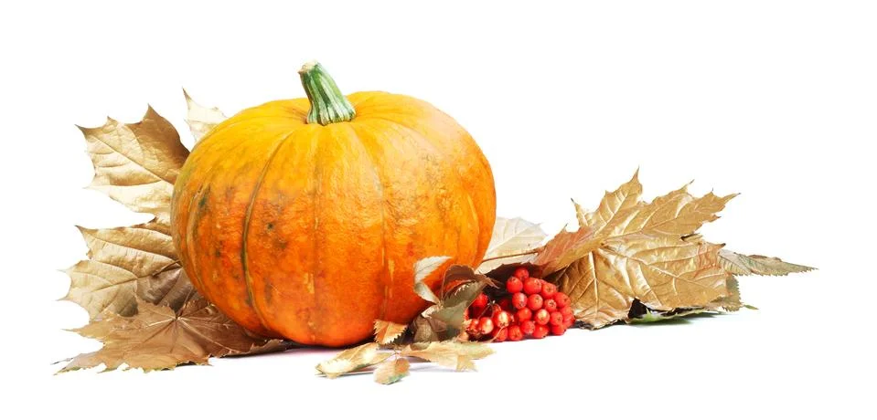 Pumpkin Stock-Fotos