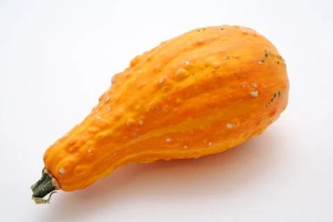 Pumpkin Stock Photos