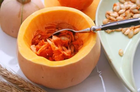 A pumpkin Stock Photos