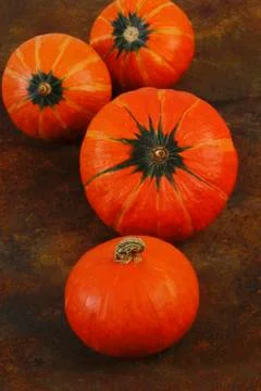 Pumpkin Stock Photos