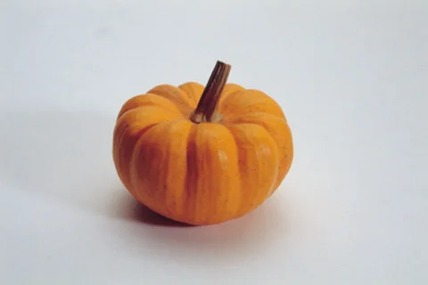 Pumpkin Stock Photos