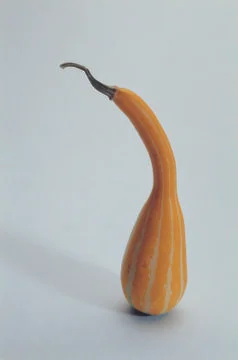 Pumpkin Stock Photos