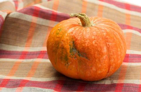 Pumpkin Stock Photos