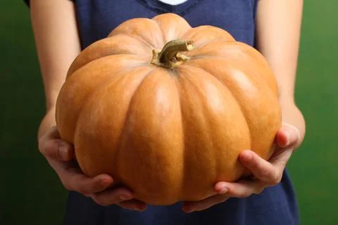Pumpkin Stock Photos