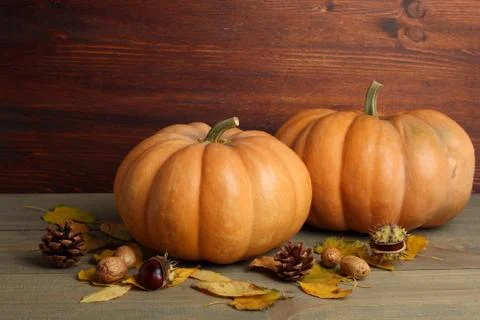 Pumpkin Stock Photos