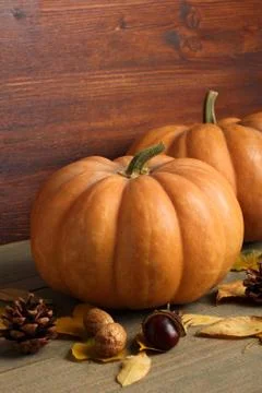 Pumpkin Stock Photos