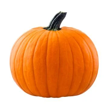 Pumpkin Stock Photos