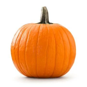 Pumpkin Stock Photos