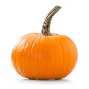 Pumpkin Stock Photos