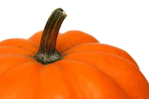 Pumpkin Stock Photos
