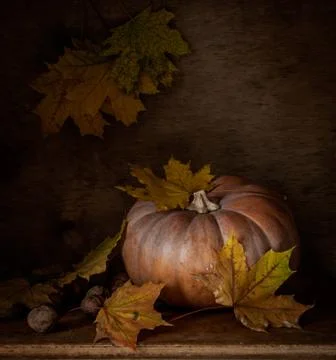 Pumpkin Stock Photos