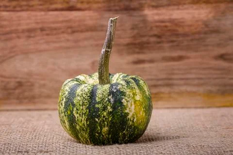 Pumpkin Stock Photos