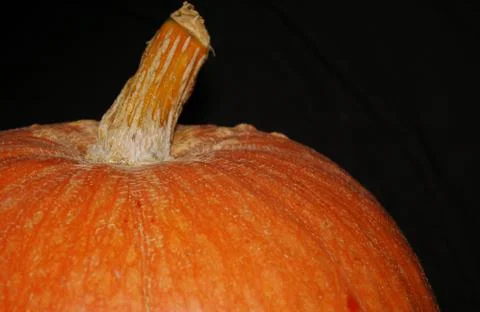 Pumpkin Stock Photos