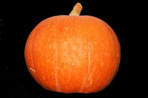 Pumpkin Stock Photos