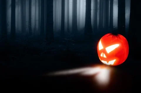 Pumpkin Stock Photos